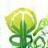 Logo Green Energy Solutions